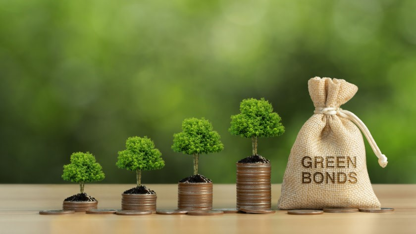 Investment in Green Financial Products