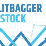 Multibagger Stock ಗುರುತಿಸುವುದು ಹೇಗೆ?