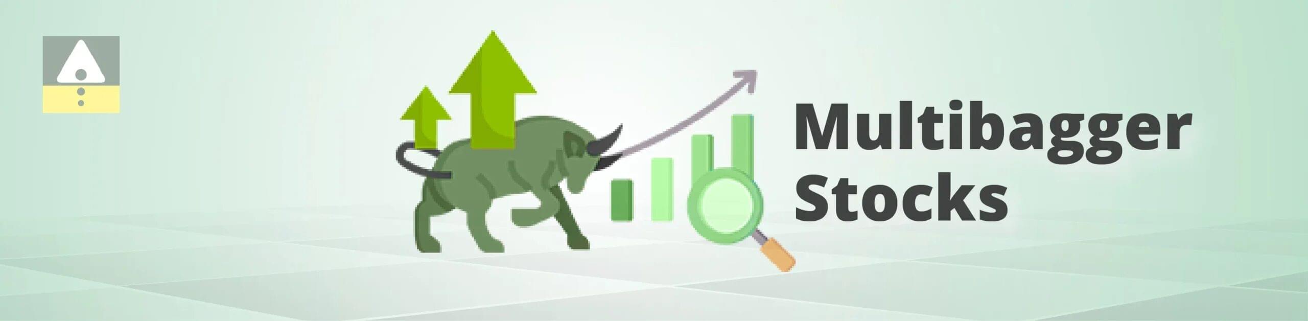 Multibagger Stock ಗುರುತಿಸುವುದು ಹೇಗೆ?